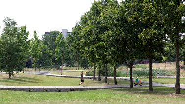 Quirijn Park