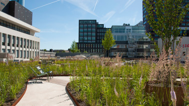 Vivaldi Rooftop Park