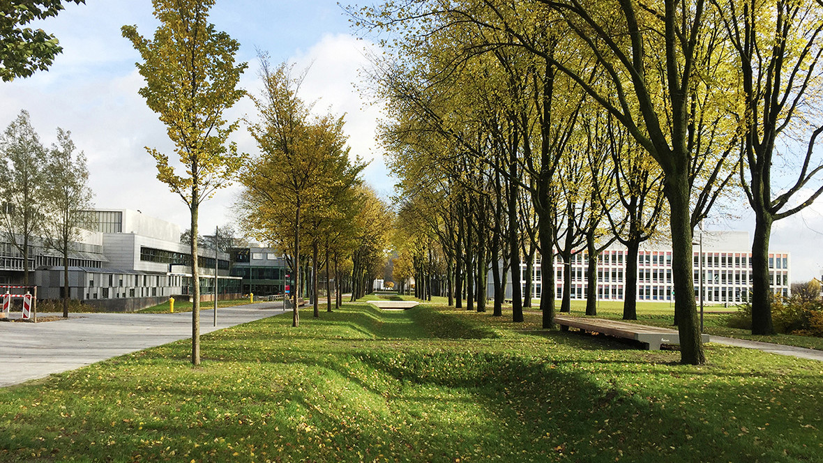 Transformation Kluyverweg into Kluyver Park Completed