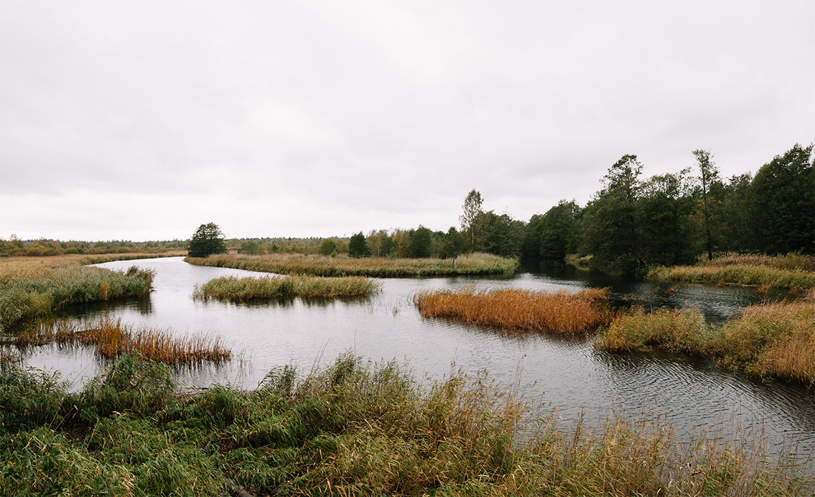 Nature reserve site photo 001