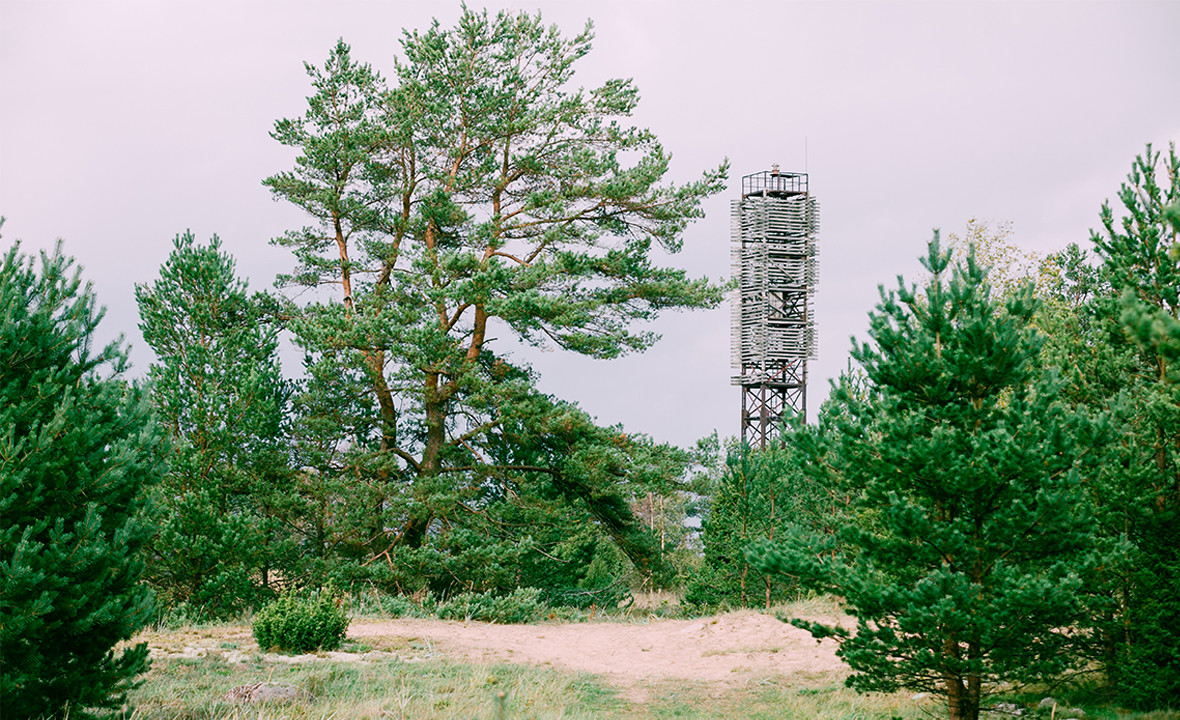 Nature reserve site photo 003